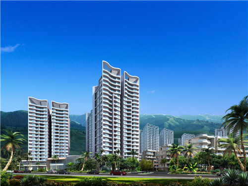 美颜素猪肚鸡汤