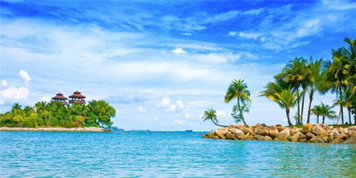 圈粉时代酸辣粉