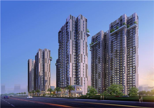 百世德咖啡火热中