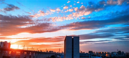 急救包品牌排名