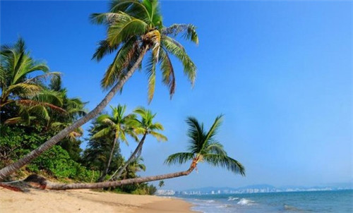 如何经营一家奶茶加盟店，冰火岛奶茶加盟要注意哪些问题