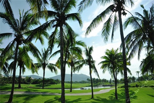 红领巾cbd，红领巾串串加盟费多少