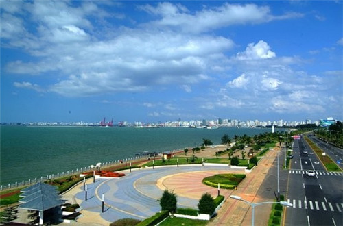 青笋炒木耳素炒芹菜做法（青笋炒木耳怎样炒）