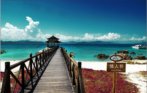 橡胶树种植公司名称起名（橡胶树种植公司名称起名怎么起）