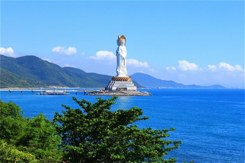 乐可沈美（小说:乐可）