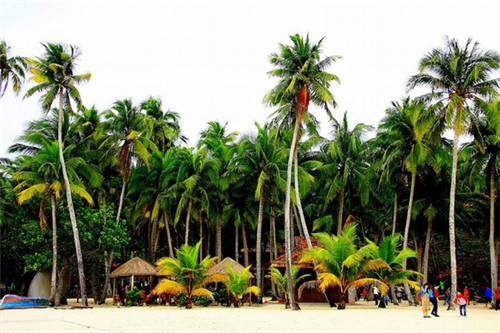 小游戏比赛内容怎么写好（小游戏比赛内容怎么写好看）