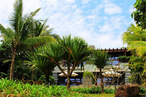 牛仔裤加盟创业选择哪家项目有优势（牛仔裤加盟连锁店）